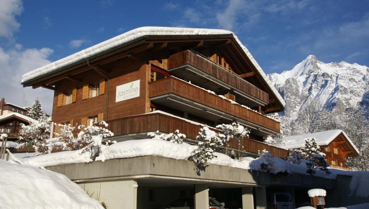 Apartment Jungfrau - Griwa Rent Ag Γκρίντελβαλντ Εξωτερικό φωτογραφία